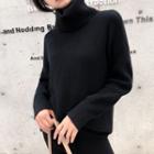 Turtleneck Sweater Black - One Size