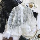 Lace Accent Long-sleeve Mesh Top