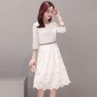 Elbow-sleeve Panel Lace Dress