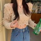 Crochet Lace Long-sleeve Crop Top