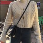 Long-sleeve Cable-knit Cardigan Almond - One Size