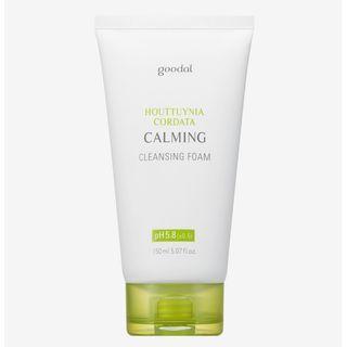 Goodal - Houttuynia Cordata Calming Ph Balancing Cleansing Foam 150ml
