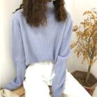 Mock Neck Plain Knit Top Blue - One Size