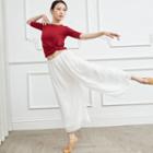 Long-sleeve / Short-sleeve Dance T-shirt / Wide-leg Pants