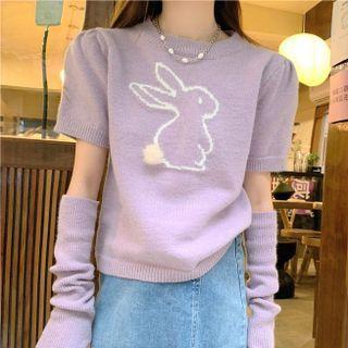 Set: Short-sleeve Rabbit Print Knit Top + Arm Sleeves