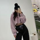Colored Cropped Fleece Hoodie