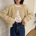 Raglan-sleeve Cable-knit Cardigan Cream - One Size