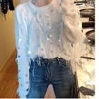 Sequined Fringed Trim Long-sleeve Knit Top