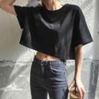 Elbow-sleeve Cropped T-shirt Black - One Size