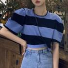 Short-sleeve Striped T-shirt Navy Blue - One Size