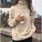 Turtleneck Long-sleeve Plain Sweater