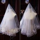 Wedding Floral Lace Trim Veil