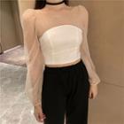 Paneled Mesh Blouse