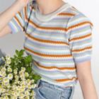 Striped Short-sleeve Knit Top Stripe - Blue - One Size