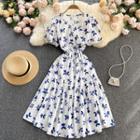 Round-neck Butterfly Print Puff-sleeve Dress