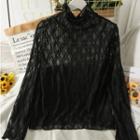 Cowl-neck Slim-fit Sheer Top