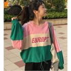 Color Panel Lettering Sweatshirt