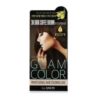 The Saem - Silk Hair Glam Color Cream (#3n Dark Coffee Brown)