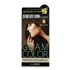 The Saem - Silk Hair Glam Color Cream (#3n Dark Coffee Brown)