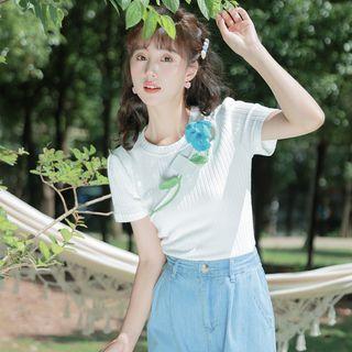 Crewneck Plain Ripped Cropped Top