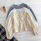 Plain V-neck Lace-trim Long-sleeve Blouse