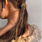 Chain Fringed Hair Clip Gold - One Size