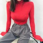 Turtle-neck Extra Long-sleeve Slim Top