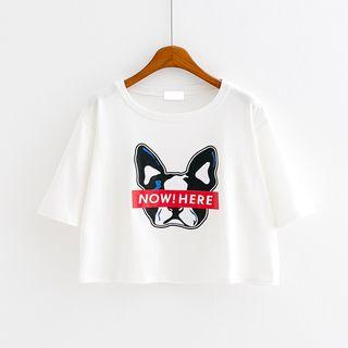 Dog Print Short-sleeve Cropped T-shirt