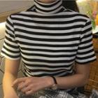 Striped Turtleneck Short-sleeve T-shirt