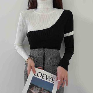 Turtleneck Two-tone Rib-knit Top
