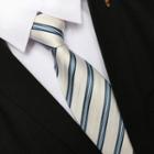 Striped Neck Tie Zsld012 - Stripe - Blue & White - One Size
