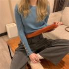 Plain Round-neck Flecce-lined Knit Long-sleeve Top