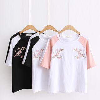 Floral Embroidered Raglan Short-sleeve T-shirt