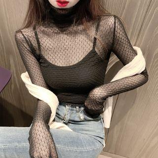 Turtle-neck Long-sleeve Sheer Top