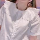 Short-sleeve Embroidered Collar Blouse White - One Size