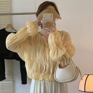 Long Sleeve Crinkled Sheer Blouse