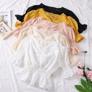 Embroidered V-neck Chiffon Top