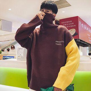 Contrast Sleeve Turtleneck Sweater