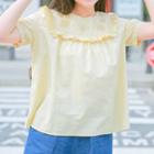 Embroidered Short-sleeve Frilled Blouse