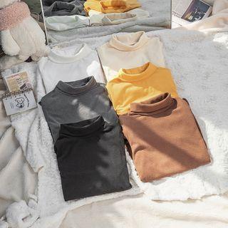 Turtle-neck Knitted Long Sleeve Top