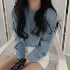 Plain Round-neck Loose-fit Long-sleeve Top