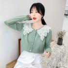Eyelet Lace Collared Long-sleeve Knit Top