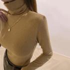 Turtleneck Plain Top With Chain Necklace