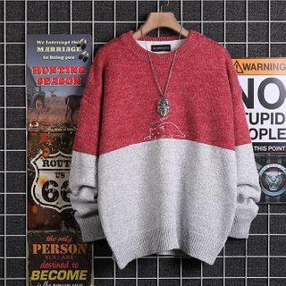 Cat Embroidery Color Block Sweater