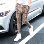 Leopard Print Harem Pants