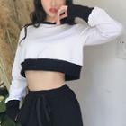 Long-sleeve Two-tone Crop T-shirt White - One Size