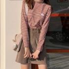 Turtle-neck Striped Skinny Knitted Sweater