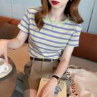 Striped Crop T-shirt In 6 Colors
