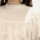 Lace-trim Dotted Sheer Top