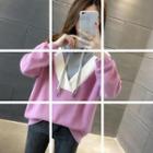 Mock Two-piece Color Panel Hoodie